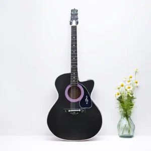 Matte Premium Acoustic Guitar - Edition 2024 - Guitar